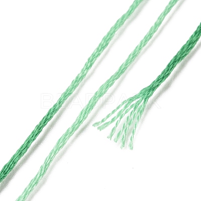 10 Skeins 6-Ply Polyester Embroidery Floss OCOR-K006-A25-1