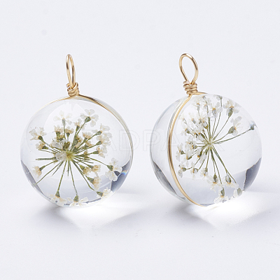 Glass Pendants X-GLAA-Q070-002B-01-1