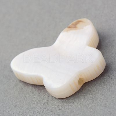 Natural Sea Shell Beads X-SSHEL-Q296-30-1