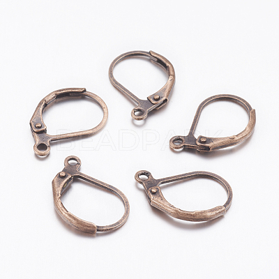 Brass Leverback Earring Findings EC223-NFR-1