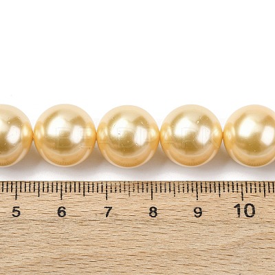 Electroplated Shell Pearl Beads Strands BSHE-G041-14mm-01-1