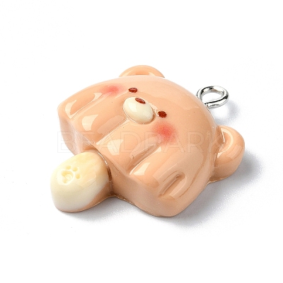 Resin Pendants RESI-I058-04I-1
