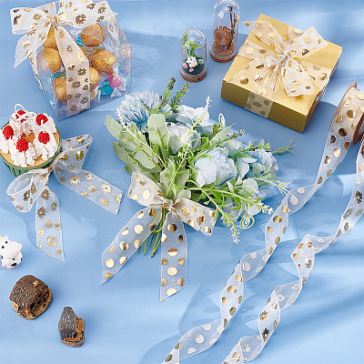 2 Rolls 2 Styles Printed Organza Ribbons SRIB-PH0001-29-1