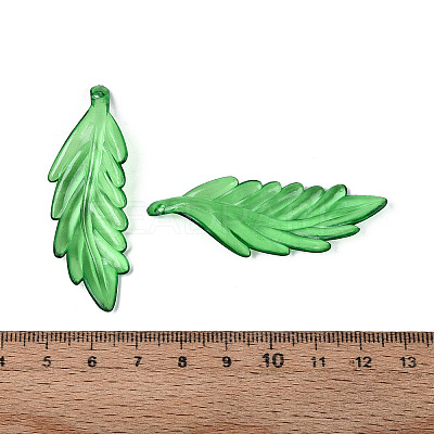 Transparent Plastic Big Pendants KY-N025-11-1