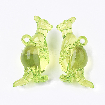 Transparent Acrylic Pendants TACR-S133-113-1