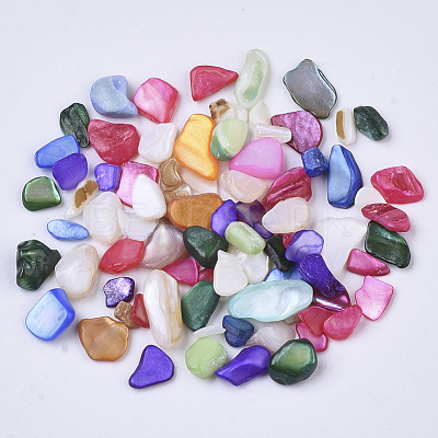 Natural Freshwater Shell Beads SHEL-N003-03-1