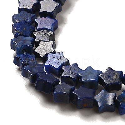 Natural Lapis Lazuli Beads Strands G-G085-B02-02-1