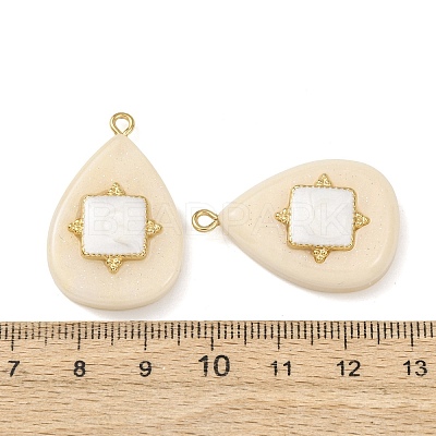 304 Stainless Steel Resin Pendants STAS-F352-07E-08-1
