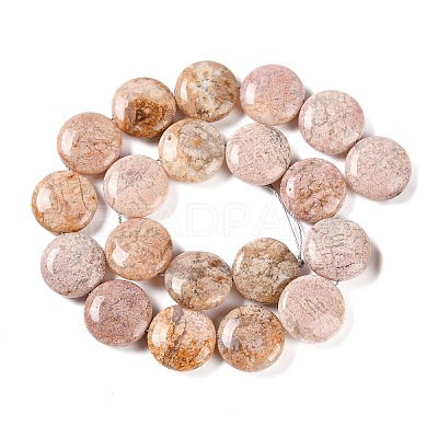 Natural Cherry Blossom Agate Beads Strands G-L246-24-1