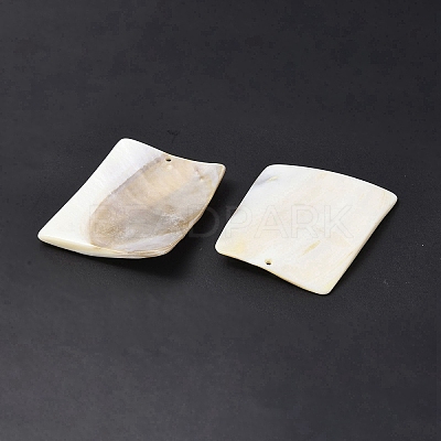 Freshwater Shell Big Pendants SHEL-C003-08-1