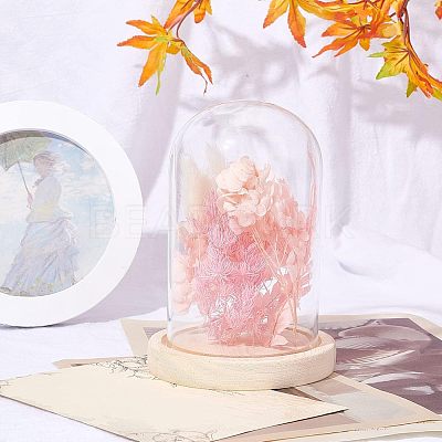Glass Dome Cover ODIS-WH0010-41B-1
