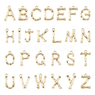 Alloy Pendants PALLOY-S137-001-NR-1
