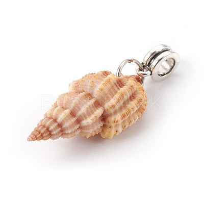 Alloy European Dangle Charms PALLOY-JF00361-M-1