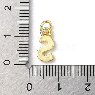 Rack Plating Brass Charms KK-P245-06G-S-1