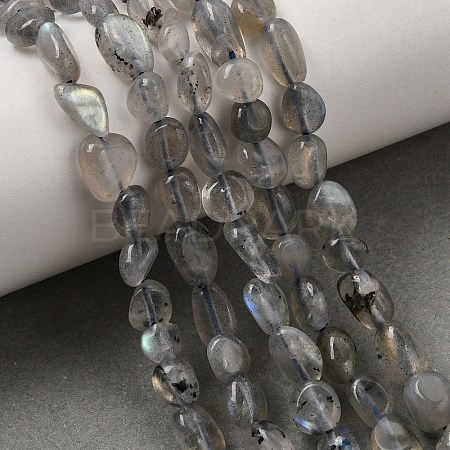 Natural Labradorite Nuggets Beads Strands X-G-J335-40-1