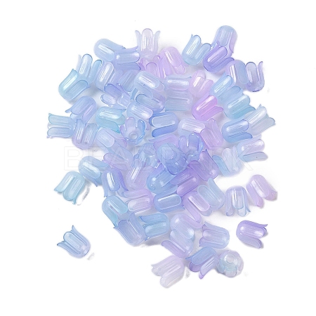 Transparent Acrylic Beads Caps OACR-B022-01H-1