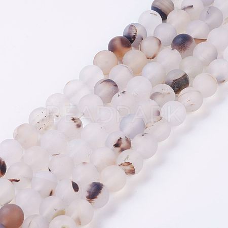 Natural Dendritic Agate Beads Strands G-P278-05-8mm-1