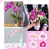 CRASPIRE 100Pcs 4 Colors Cloth Imitation Phalaenopsis Amabilis AJEW-CP0001-86-8