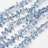Electroplate Glass Beads Strands X-EGLA-L009-FR05-1