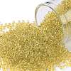 TOHO Round Seed Beads X-SEED-TR11-2151-1