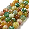 Faceted Natural Fire Crackle Agate Beads Strands G-F447-12mm-M01-2