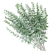 Plastic Artificial Eucalyptus Leaves PW-WG8731F-09-1