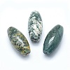 Natural Moss Agate Beads X-G-P384-T11-1