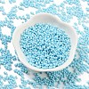 Baking Paint Glass Seed Beads SEED-A033-05P-2