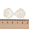 Transparent Glass Beads DGLA-E004-02K-3