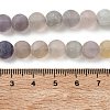 Natural Fluorite Beads Strands G-K292-01-5