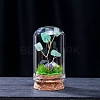 Natural Green Aventurine Display Decorations G-PW0004-25B-1