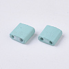2-Hole Glass Seed Beads SEED-S023-31C-05-2
