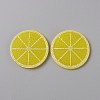 Fruit Theme Plastic Cabochons KY-WH0004-22B-1