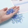 6/0 Glass Seed Beads SEED-YW0001-25G-7