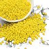 8/0 Glass Seed Beads X2-SEED-A010-3mm-42-1