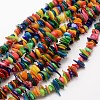 Dyed Chip Natural Freshwater Shell Beads Strands SHEL-E355-16-1