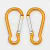 Aluminum Carabiners LS-EA026-09-1