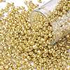 8/0 Glass Seed Beads X-SEED-A017-3mm-1115-1
