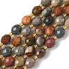 Natural Alashan Agate Beads Strands G-F809-A24-01-2