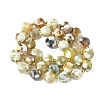 Natural Fire Crackle Agate Beads Strands G-U023-A16-02-3