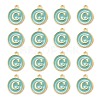Golden Plated Alloy Enamel Charms ENAM-S118-05C-2