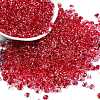 6/0 Spray Paint Fringe Glass Seed Beads X1-SEED-H003-11F-1