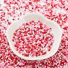 Baking Paint Glass Seed Beads SEED-S042-05B-46-2