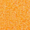 8/0 Glass Seed Beads SEED-A015-3mm-2202-2
