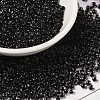 12/0 Transparent Glass Seed Beads X-SEED-F003-03C-08-1