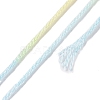 10 Skeins 6-Ply Polyester Embroidery Floss OCOR-K006-A14-3