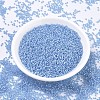 MIYUKI Round Rocailles Beads SEED-JP0008-RR0573-2