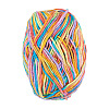Light Gradient Segment Dyed Polyester Yarn DIY-TADJ0002-005B-2