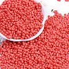 Baking Paint Glass Seed Beads SEED-K010-A08-1