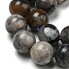Natural Dendritic Jasper Beads Strands G-R494-A23-03-3